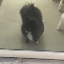 강바이올린교습소 이미지
