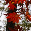 소현초등학교 이미지