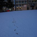 설악해변 이미지