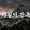 자월