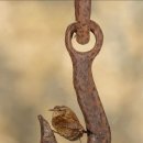 독불장군 이미지