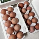 청미래농장 이미지