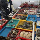 청정해역영덕대게 | [경북 영덕] 겨울 제철 끝판 🦀 영덕 강구항 대게 먹고온 후기