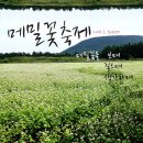 탐라메밀