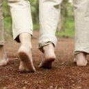 대구관천초등학교 이미지