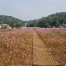 공릉천변 이미지