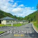 자연과우리펜션야영장 | 국립 금산자연휴양림 숲나들e 예약 추천 둘러본 후기