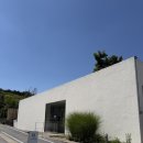 사네 | 아산 논뷰가 매력적인 뷰 맛집 카페 사네 (내돈내산) | 치즈케이크 솔직 후기 주차