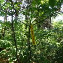 송산4리 이미지