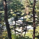 바람커피 이미지