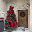 사하펫 | 부산 크리스마스 카페 추천 사하구 그랑비