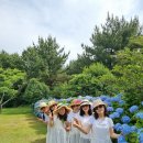 제주여행 | 제주도 카니발 렌트 요금 알아보고 친구들과 편하게 다녀온 제주 여행 후기