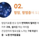 맥스동물병원 이미지