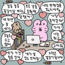 큐인사이트주