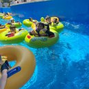 최강두리 태권도장 이미지