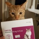 하마정약국 이미지