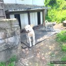 천일농장 이미지