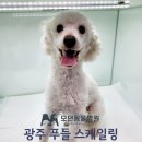 오거리동물병원 이미지