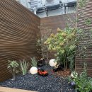 압구정미역 이미지