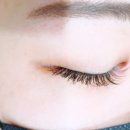 더시크라인 이미지