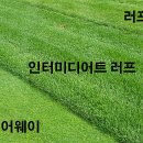 러프(Rough) 네이버블로그