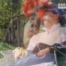 술한잔애 네이버블로그