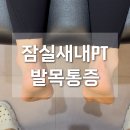 레이크팰리스 종합상가 A동 | 발목통증 잠실새내PT 핏프로 체형불균형 교정재활전문센터 후기