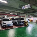 산호동250 이미지