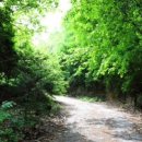 시냇가 펜션 이미지