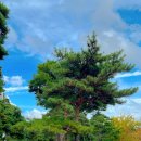 부산시민공원 숲속북카페 | 부산북카페 부산시민공원 숲속북카페