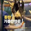 사임당로19길 10 (6) | 동탄 아이랑 가볼만한곳 아르티스테마파크 동탄역 실내동물원 후기