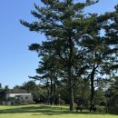 포르투나 스테이 인 표선 | [제주 숙소] 제주 n번째 가는 사람의 숙소 추천 / 포르투나스테이인표선