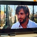 초원동물병원 이미지