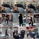 다움핏 이미지