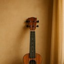 우쿨렐레와 함께하는 하루 이미지