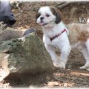 구름이머무는곳 이미지