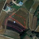 부광농장-2 이미지