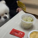 피자스쿨(성신여대점) 이미지