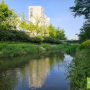 우리은행 올림픽지점 이미지