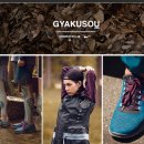 브로시스 이미지