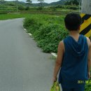 포충사 주차장 이미지