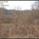 상천리보건진료소 이미지