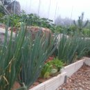 주석농장 이미지