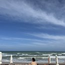 왕초보 일본어회화 | 일본어회화독학 포도스피킹 왕초보 후기 | 할인코드 rara0156
