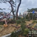 중앙광장 교차로 이미지