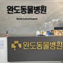 완도동물병원 이미지