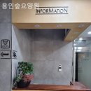 용인숲요양원 네이버블로그