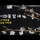 이화꽃 필 때 / 시 박호제 / 낭송 서미영 / (사)종합문예유성 낭송시 선정 / 영상제작 서미영 이미지