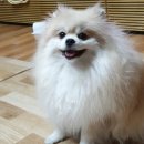 원화실