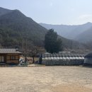 엄마네 | 양산시 원동 미나리 삼겹살 15번집 엄마네 방문후기